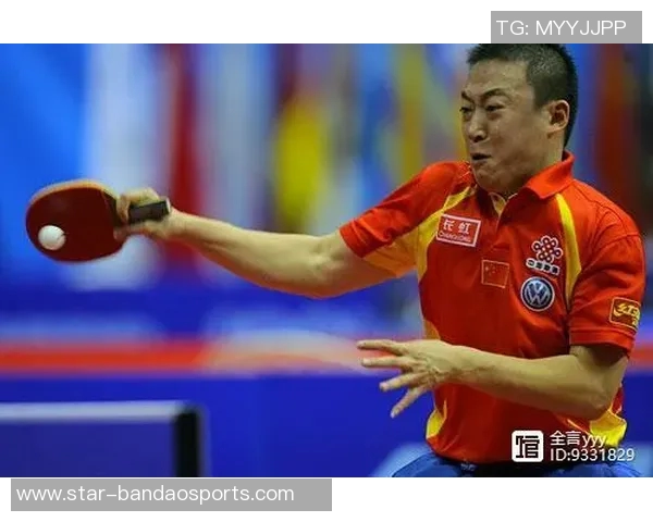 运动最新数据深圳篮球队心理素质引发热议球迷对球队表现的不同看法与争论